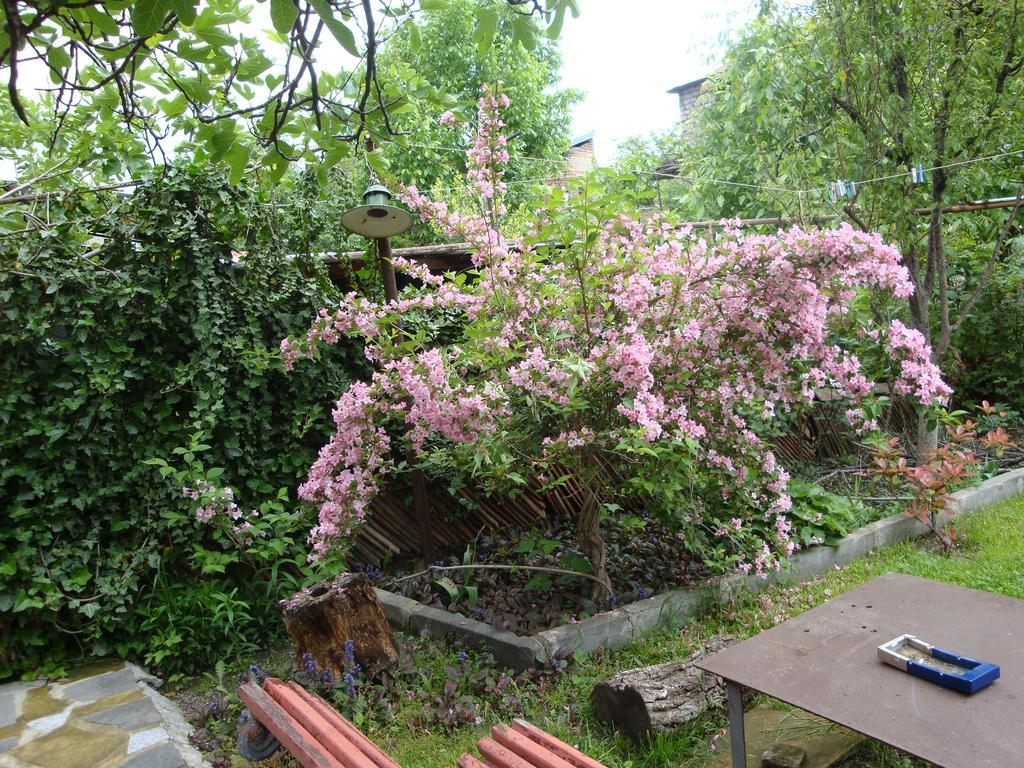 Tamari Guest House Telavi Esterno foto