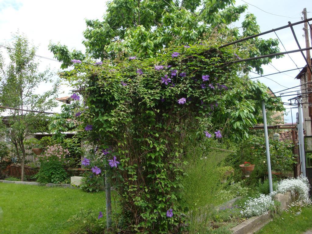 Tamari Guest House Telavi Esterno foto